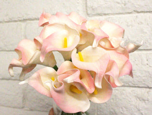 Pink Calla Lily w/ Vase