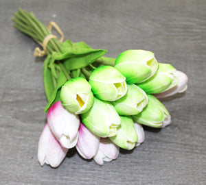 15 Apple Green Pink Real Touch Tulip