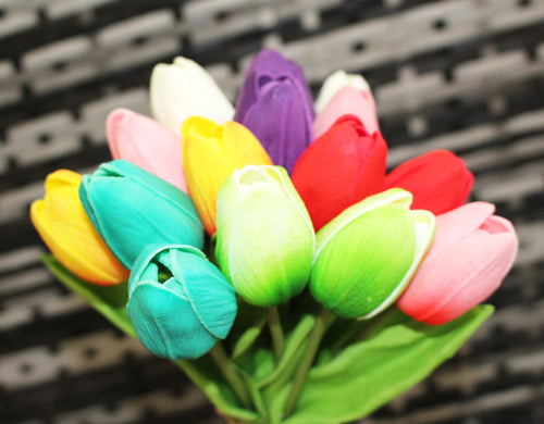 15 Pastel Rainbow Multi Color Real Touch Tulip