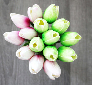 15 Apple Green Pink Real Touch Tulip
