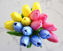 Load image into Gallery viewer, 15 Bue Yellow Pink Real Touch Tulip