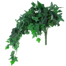 Load image into Gallery viewer, English Ivy Hanging Bush