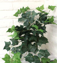 Load image into Gallery viewer, Maple Ivy Hanging Bush