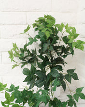Load image into Gallery viewer, Maple Ivy Hanging Bush