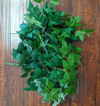 Load image into Gallery viewer, Maple Ivy Hanging Bush