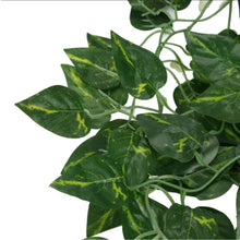 Load image into Gallery viewer, Porthos Greenery Hanging Bush
