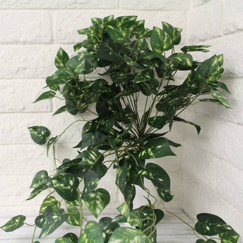 Porthos Greenery Hanging Bush