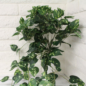 Porthos Greenery Hanging Bush