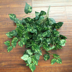 Porthos Greenery Hanging Bush