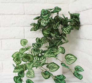 Watermelon Greenery Hanging Bush