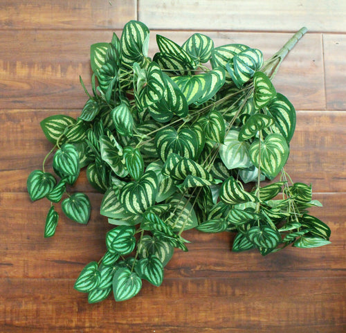 Watermelon Greenery Hanging Bush