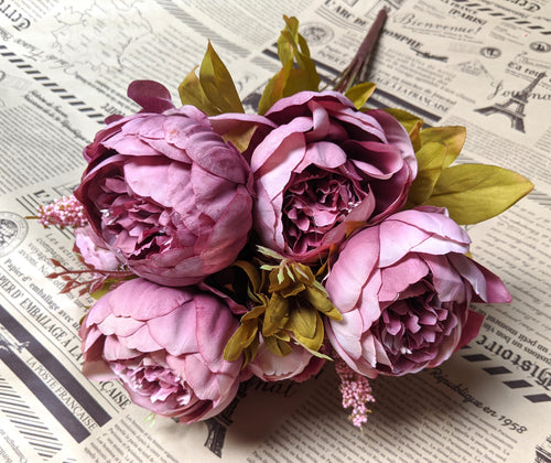 European Peony Mauve