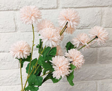 Load image into Gallery viewer, 12 Dandelion Heads