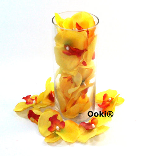 20 Yellow Orchid Flower Petals
