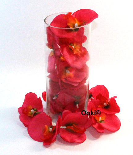 20 Hot Pink Orchid Flower Petals