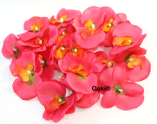 Load image into Gallery viewer, 20 Hot Pink Orchid Flower Petals