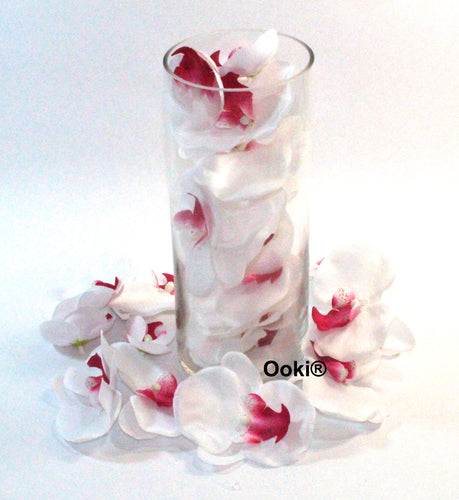 20 White Orchid Flower Petals