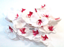 Load image into Gallery viewer, 20 White Orchid Flower Petals