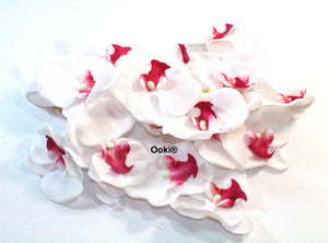 20 White Orchid Flower Petals