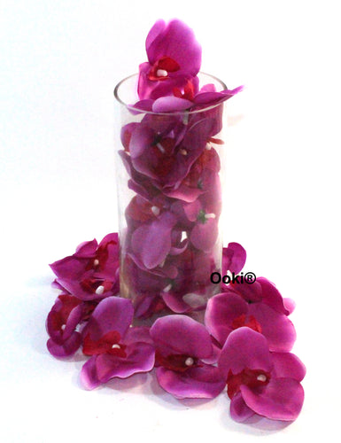 20 Purple Orchid Flower Petals