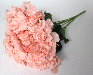 Blush Bouquet Hydrangea Flower 7