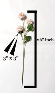 12 Dandelion Heads